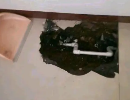 洛阳市卫生间测漏水多少钱